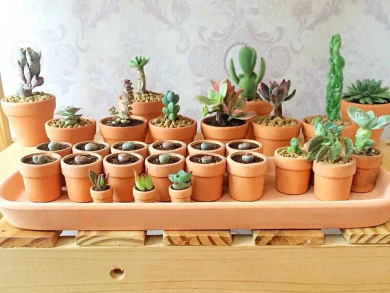 Red pottery flowerpot tray red clay tray pot holder pot base water tray round tray