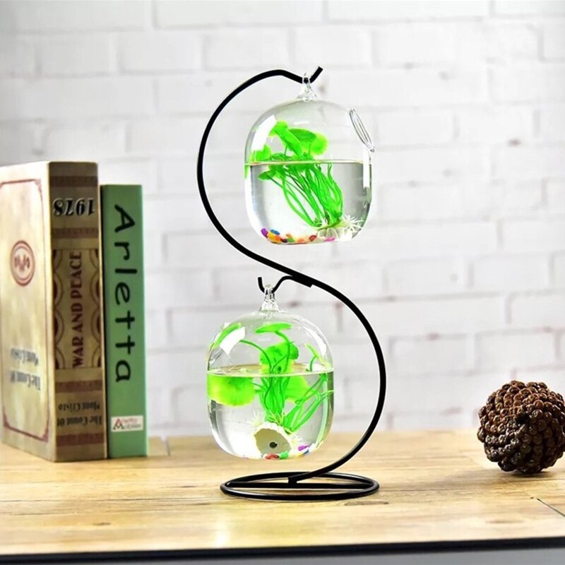 Bouteille transparente suspendue en verre pour Aquarium Pl D0AC, pour Infusion de fleurs