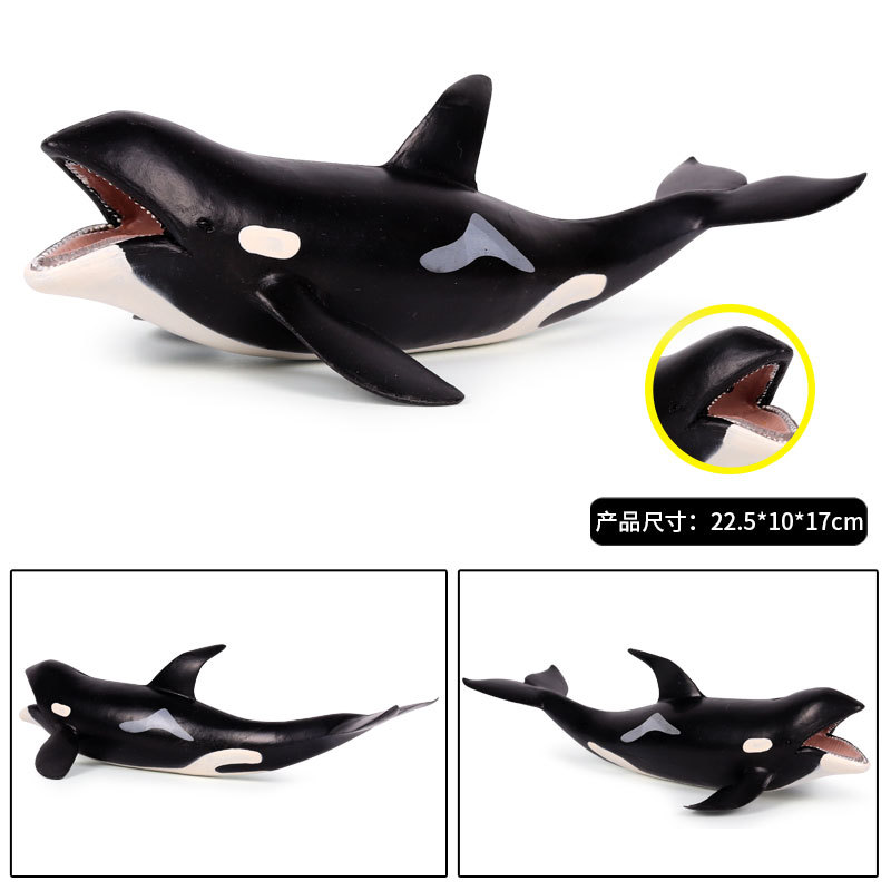 Large Killer Whale Grampus Orca Figure Miniature Sea Animal Model Simulation Marine Animal Fish Model Kids Toy Decor