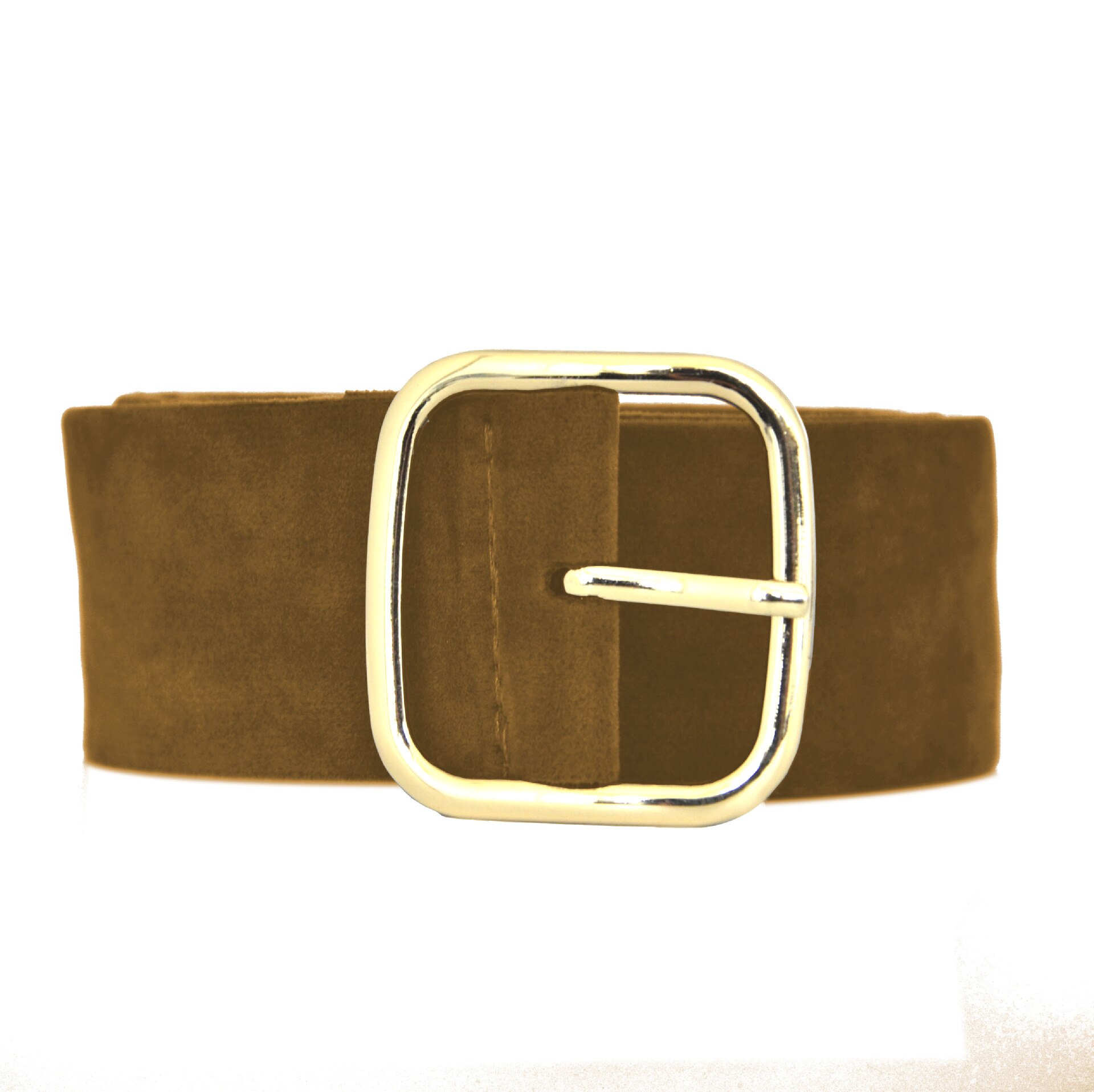 Brede Riem Vrouwelijke Jurk Riemen Versier Tailleband Gold Pin Gesp Fluwelen Riem Party Riem Zwart Flanel Vrouwen: CAMEL