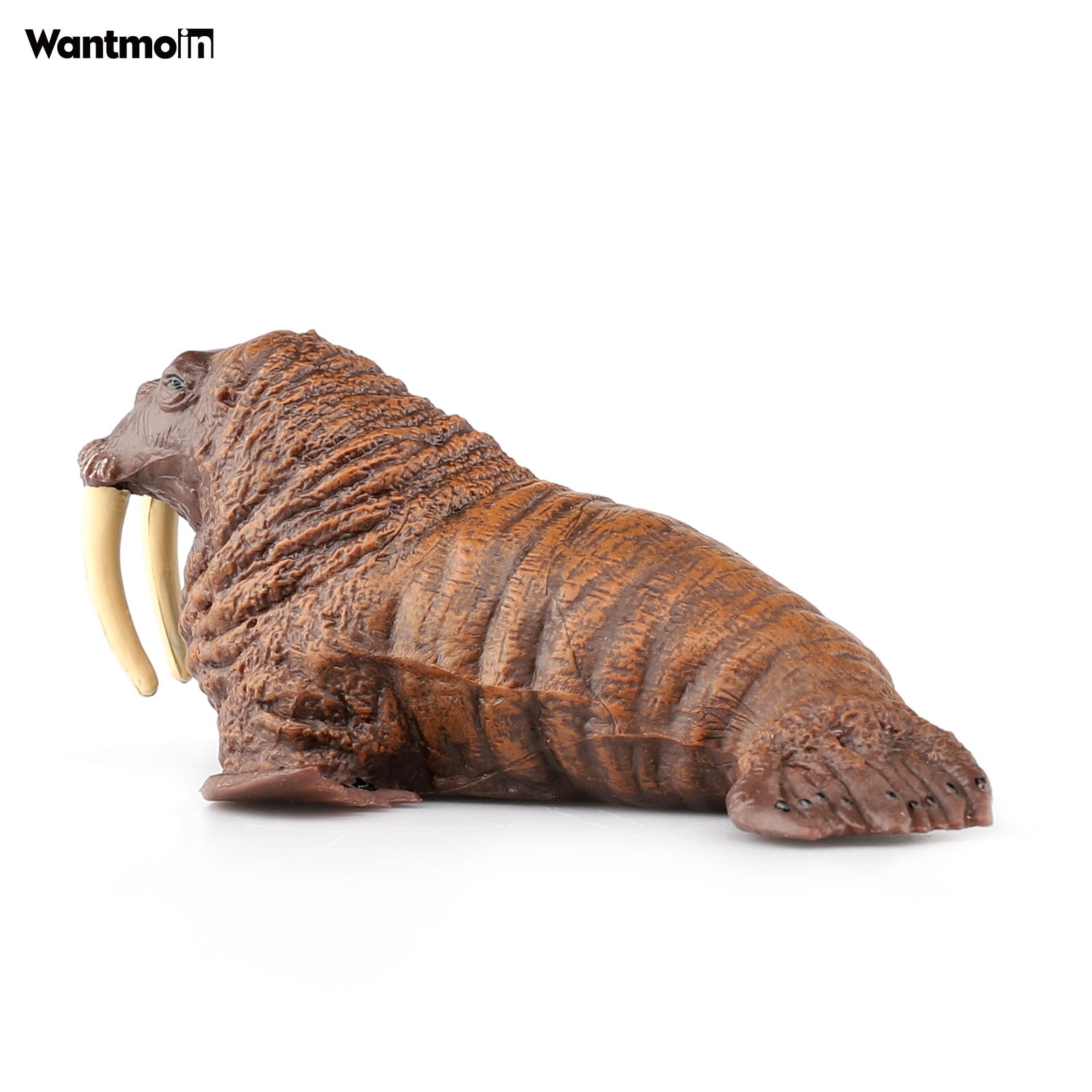 Wantmoin Polar Ocean Animals Simulation Walrus Manatee Sea Lion Seal Action Figures Sealife Marine Model Collection Static Toy