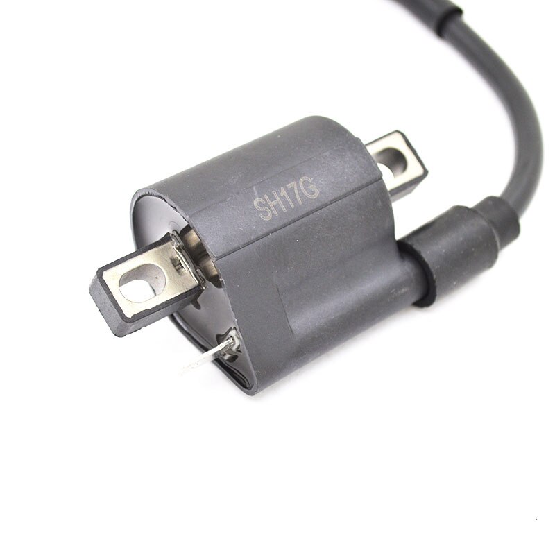 Motorfiets Bobine voor 50cc 125cc 150cc 200cc 250cc Chinese ATV Quad Dirt Pit Bike Scooter Buggy Motor