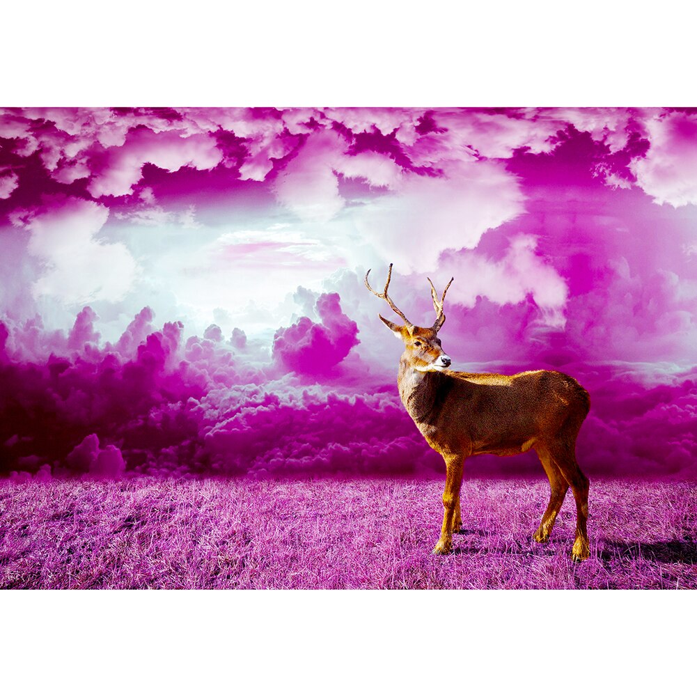 Carino Animali Ritratto di Montaggio Lo Stress Relief Giocattoli di 1000 Pezzi di Carta Jigsaw Puzzle Puzzle Game Giocattoli Interessanti: I