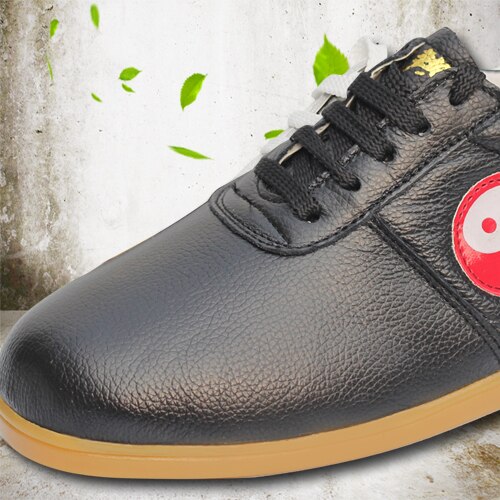 Tai Chi weiche leder schuhe Dichotomanthes ende von frühling sommer frauen Taiji Kung-Fu schuhe schuhe männlichen martialisch leder schuhe Weibliche