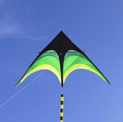 Grote Delta Vliegers Staarten Met Handvat Outdoor Speelgoed Voor Kinderen Vliegers Nylon Ripstop Albatros Kite Fabriek