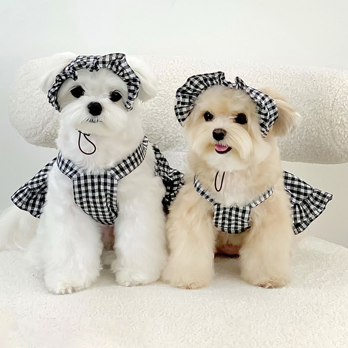 Abbigliamento per cani alla moda Stile moderno Gonna scozzese bianca nera con cappello Completo Vestiti per cani Abiti Accessori per animali Vestiti estivi per cuccioli