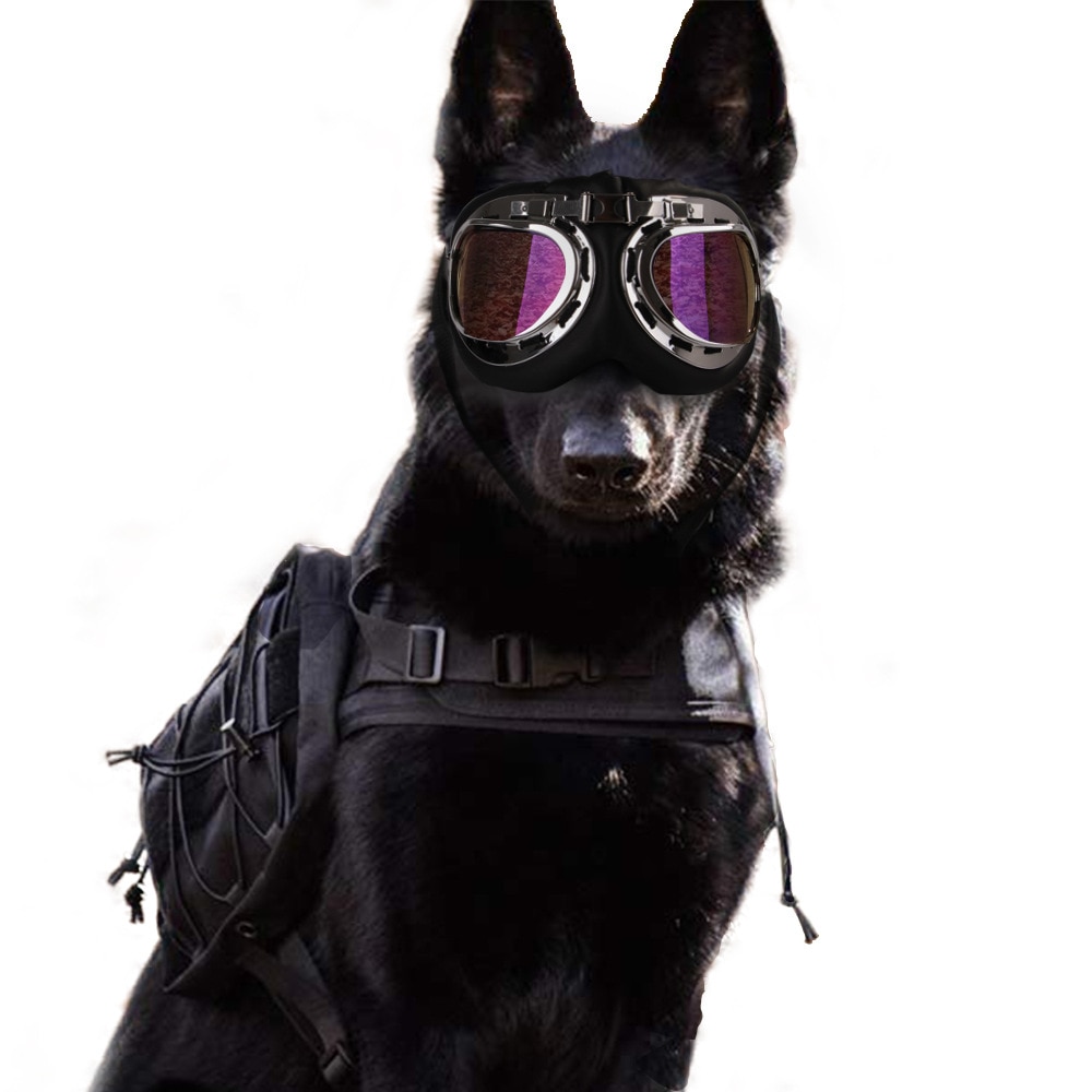 Beskyttelse kæledyr kattehund solbriller store hundebriller kattekat briller sammenfoldelige solafvisende beskyttelsesbriller, der sørger for kølig hund udenfor