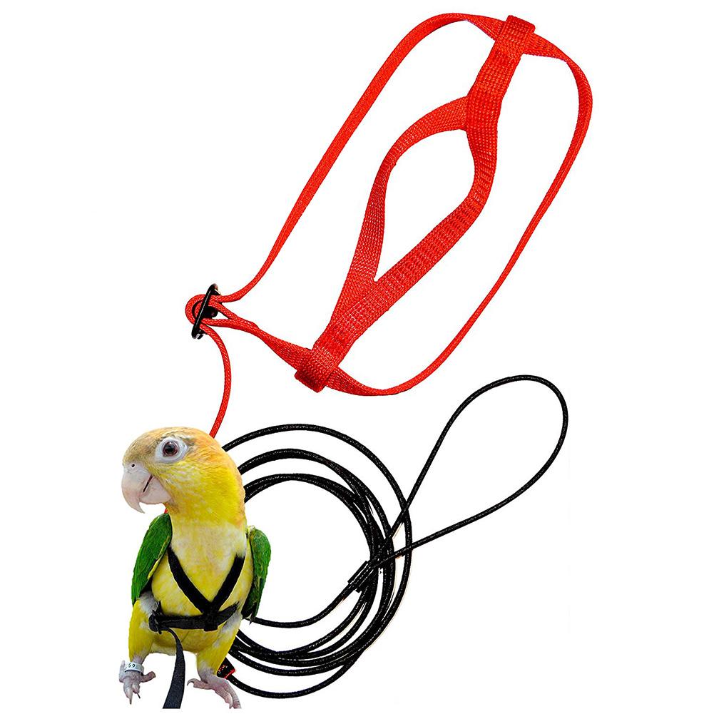 Papegøje sele og snor flyvende anti-bid trækkraft reb fugletræning udendørs bærer til skarlagenrøde ara papegøjer fugle