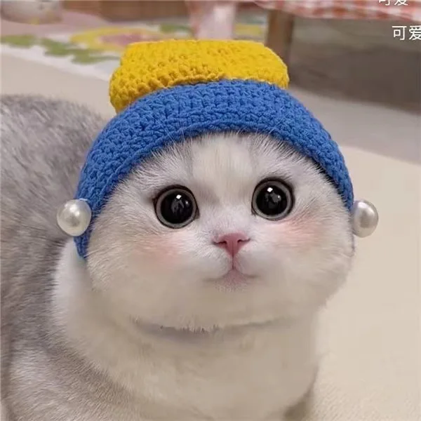 Outono inverno gato chapéu elástico bonito refinado chapéu para animais de estimação filhote de cachorro gatinhos chapéu de malha festa sessão de fotos adereços decoração acessórios para gatos