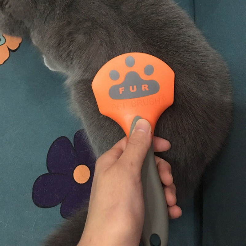 Haar Kam Voor Honden Kat Vergieten Lange Haren Kammen Pet Hair Remover Hond Grooming Gereedschap Hond Levert