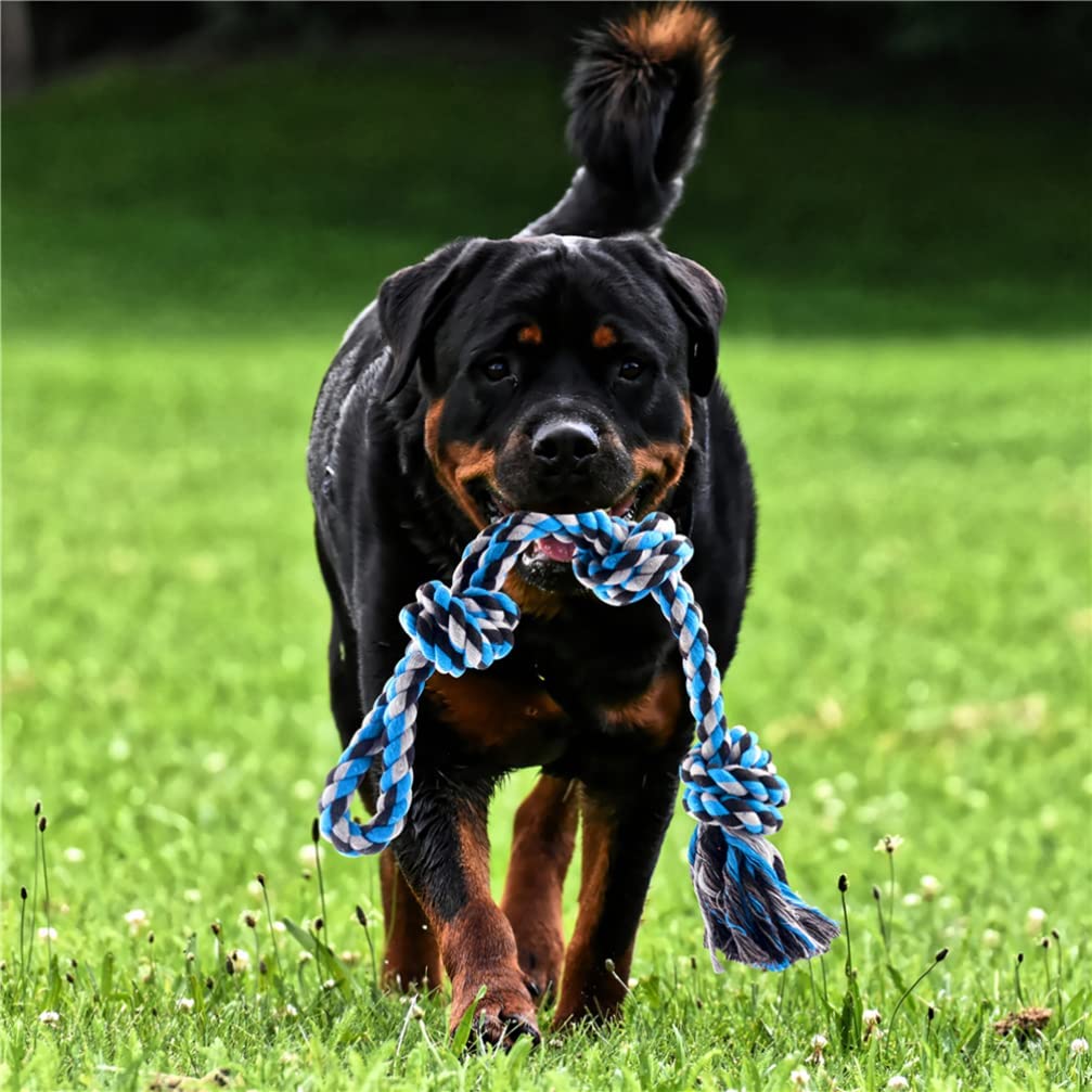 LVTUBANLV Stainless Steel Spring Pole Dog Rope Toys,Hanging Exercise Rope, Dog Outdoor Hanging Toy Pull for Medium to Large Dogs