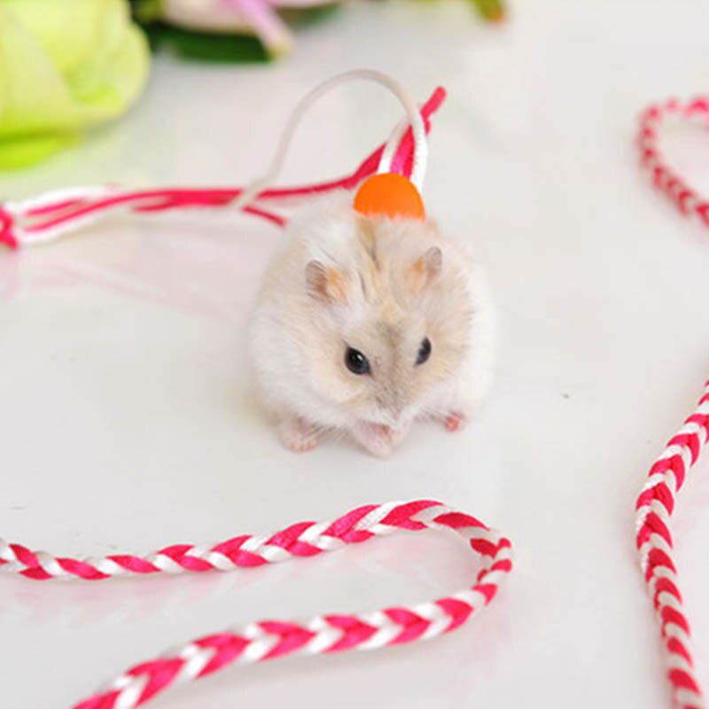 Arnés para Hamster cuerdas arnés Collar de guiar ajustable Animal PEQUEÑO herramientas para jaula correa de hámster 2M productos para mascotas ratón Suministros 1 Uds