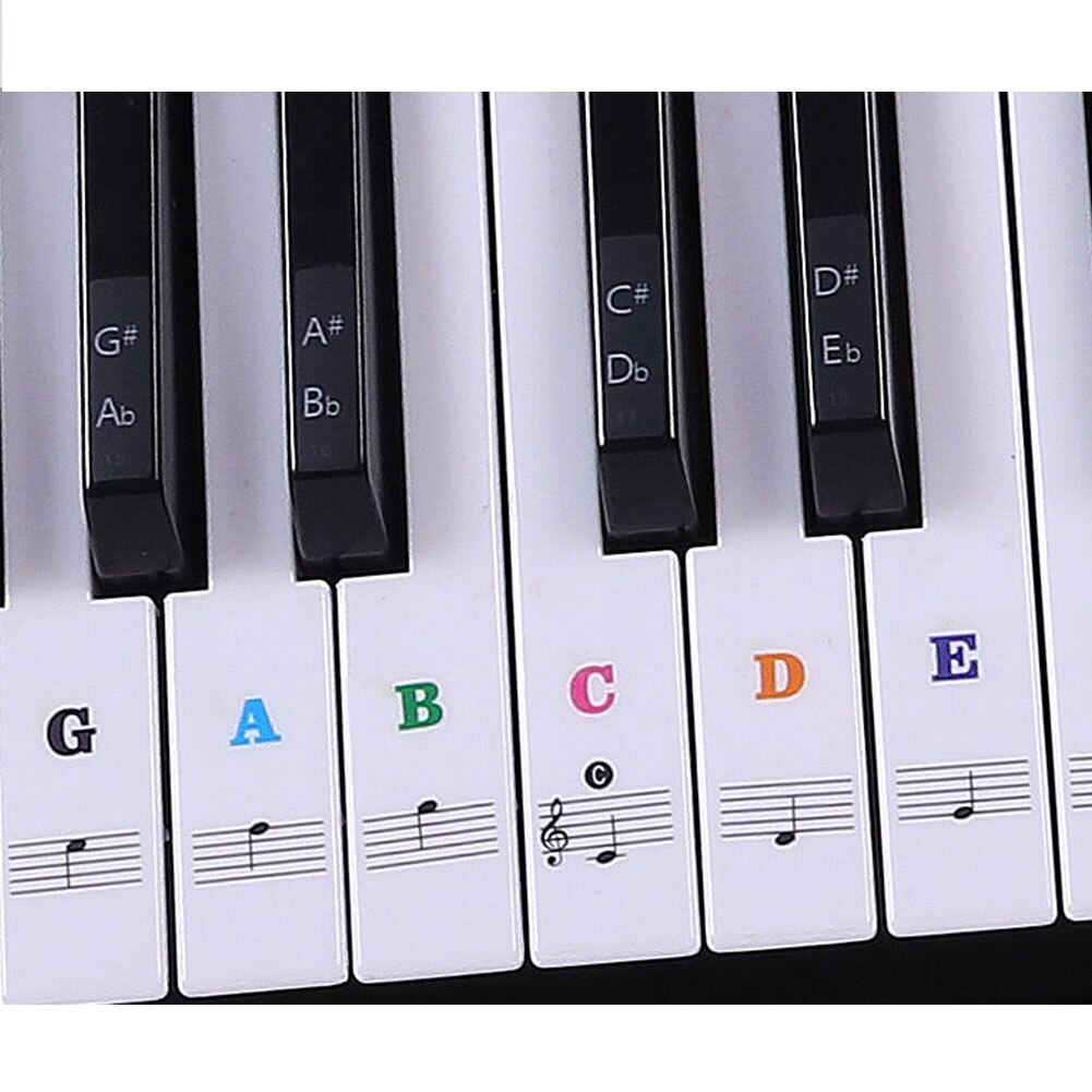 54/61 Keys Label PVC Stave Music Decal Removable Sticker Note Biginners Piano Keyboard