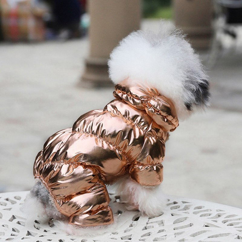 Veste de chien Costume D'hiver Bouledogue Français Vêtements Pour Animaux De Compagnie Imperméable Coton Rembourré Tenue Chaude Manteau Épaississement Doudoune