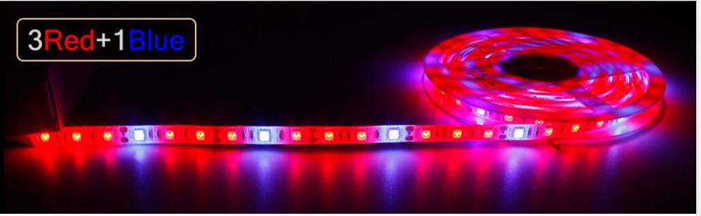 Pasteable Phyto Led Light strip Hydroponic Growth Light Led Grow Full Spectrum12V Red Bule Lamp Plant Flower Seedling Fitolamp: 3 red and 1 bule / 5M 300leds / Not waterproof IP20