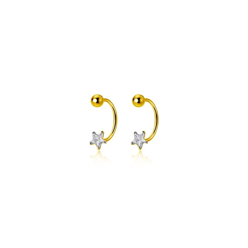2 STUKS Rvs Star Crystal CZ Oorstekers Oorbellen Vrouwen Zilver Kleur Tragus Kraakbeen Helix Piercing Sieraden: Goud-kleur