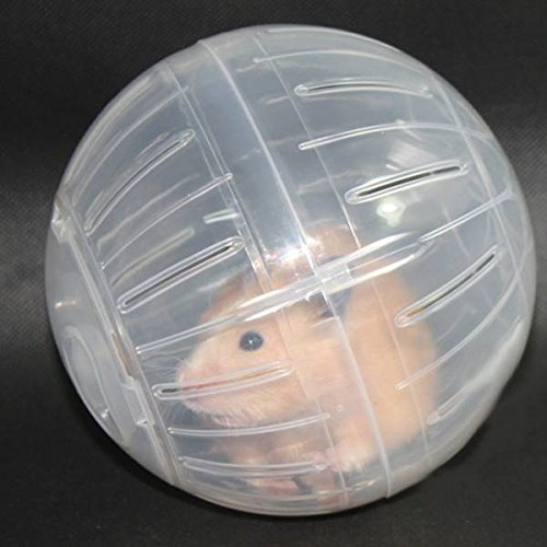 Jouet en plastique de petite balle de Rat de gerbille de Hamster de souris de Jogging de rongeur d'exercice de jeu d'animal familier Durable