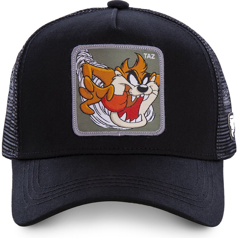 DAFFY COYOTE-gorra de béisbol con de conejo para hombre y mujer, gorro de béisbol con estampado de dibujos animados, Snapback TAZ ROAD, triangulación de envíos