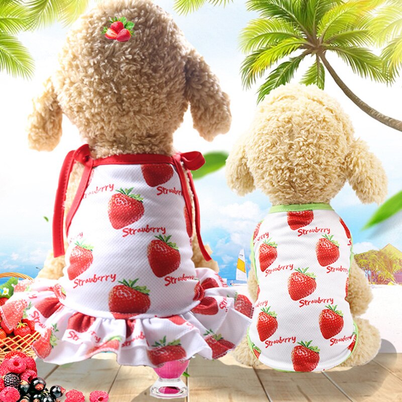 Huisdierpaar aardbei vest rok kleding riem cartoon schattig patroon mesh ademend huisdier interactieve kleding huisdier accessoires