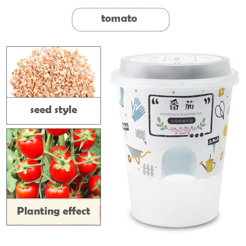 Children's handmade DIY potted plants Little gardener Fruit and vegetable cultivatio educational toys: tomato