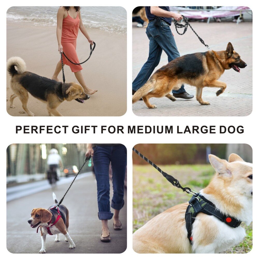 Reflecterende Grote Hondenriem Nylon Touw Pet Training Riemen Lange Lood Hond Veiligheid Bergbeklimmen Touw Voor Medium Grote Grote dog4