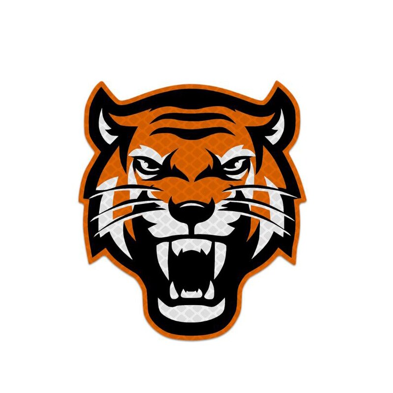 2pcs Cartoon Tiger Reflective Sticker Car Decal Warning Safety Tape Decoration Scratch Modification Made with 3M