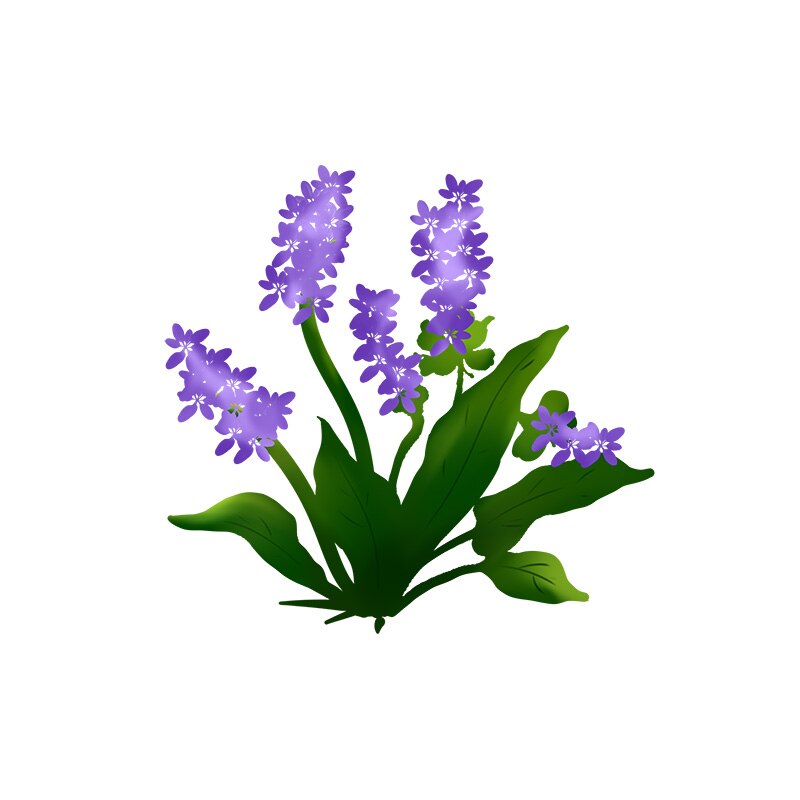 Zttzdy 21.4*20.4cm lila lavendel blomma tecknad toalett klistermärken väggdekor heminredning  t2-0476