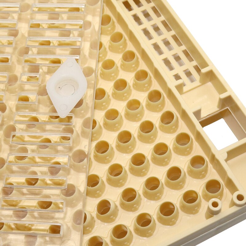 1 Pcs Nicot Queen Bee Grootbrengen Systeem Voor Bijenteelt Plastic Nicot Kooi Gereedschappen