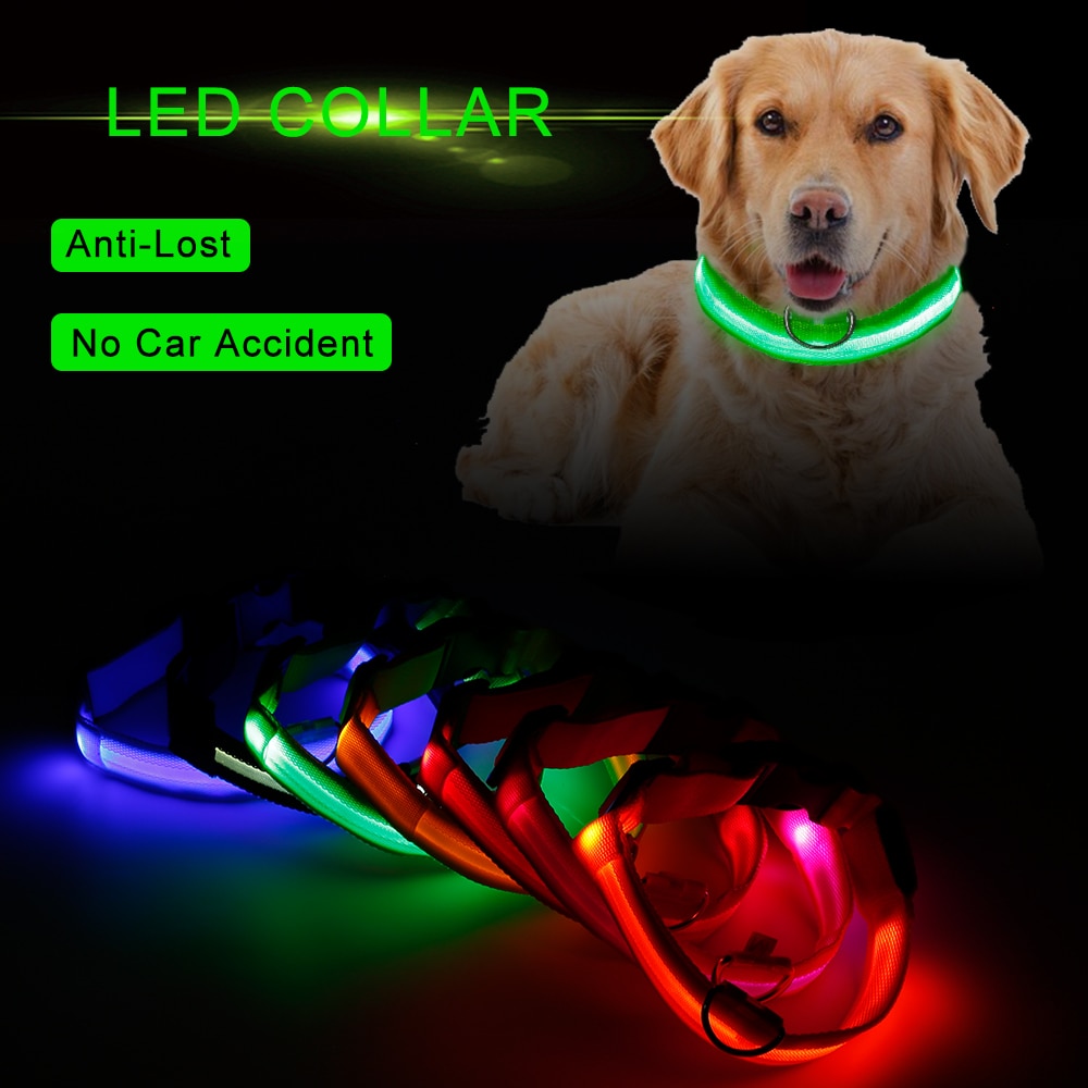 Led Pet Hond Kat Kraag, Night Veiligheid Flashing Glow In The Dark Nylon Hondenriem, puppy Lichtgevende Fluorescerende Halsbanden Dierbenodigdheden