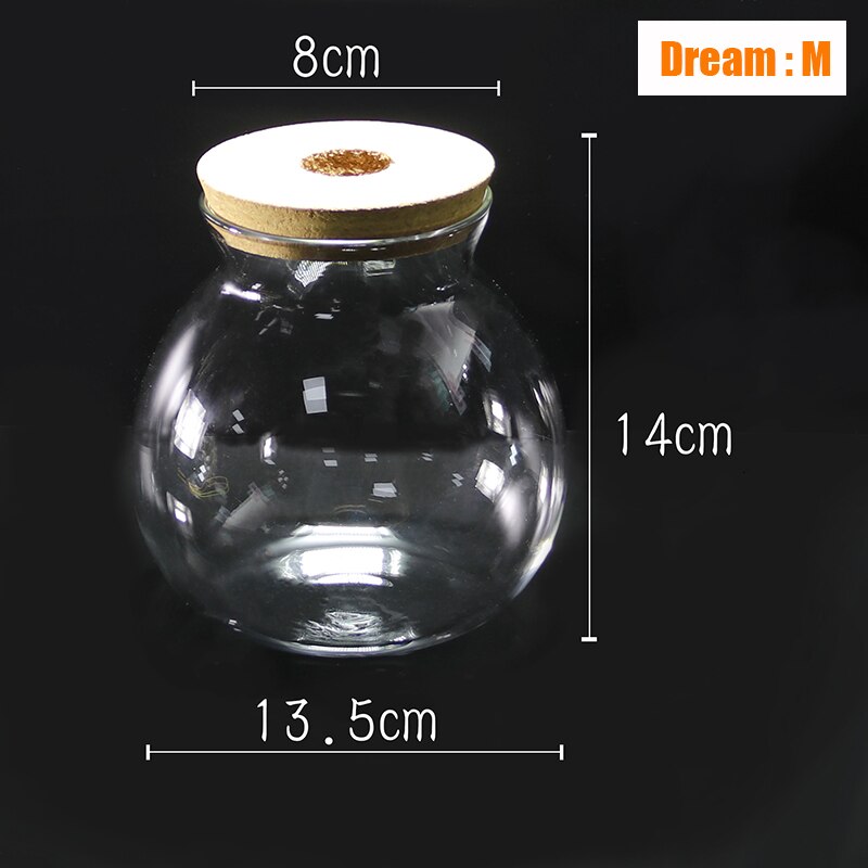 Mini Glass Fish Tank Betta Fish Tank Aquarium Fish Tank Micro Landscape Ecological Bottle Empty Bottle DIY Aquarium Accessories: Dream M