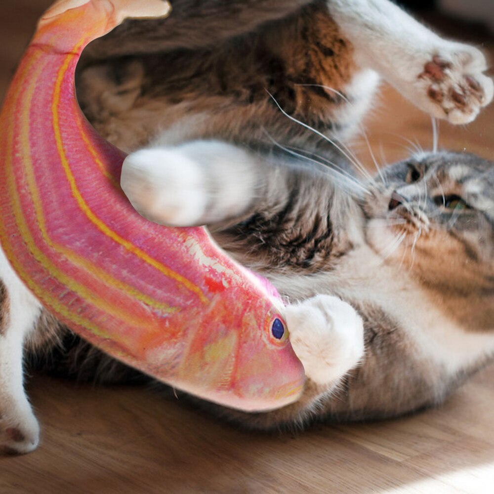 poisson électrique chat jouet réaliste en peluche mobile poisson cataire Kicker jouets électrique poisson jouet avec câble USB