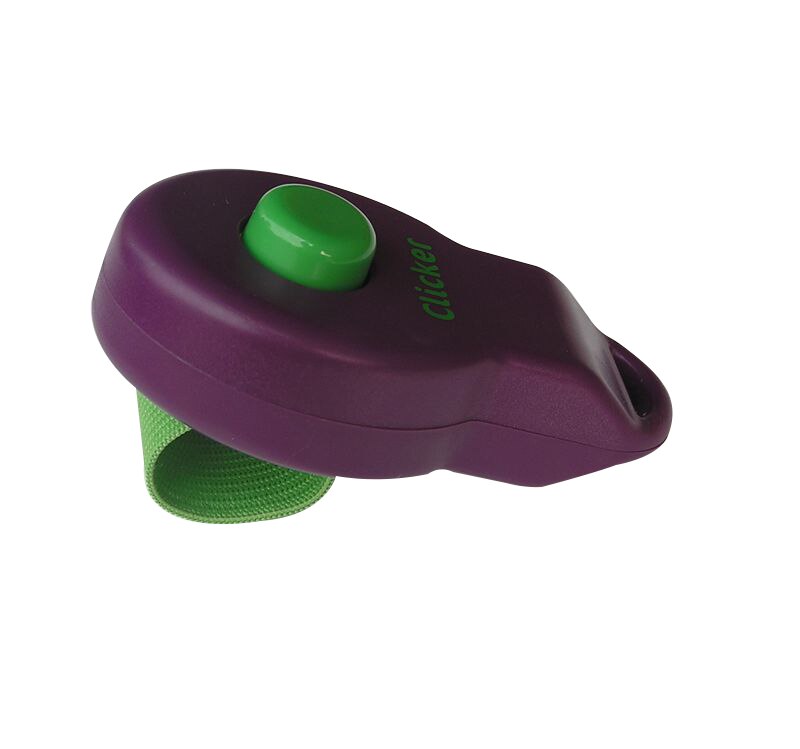 2 In 1 Kawaii Shape Dog Whistle Clicker Pet Dog Trainer Assist Guide With Key Ring Dog Training Whistle Dog Toys Household: purple