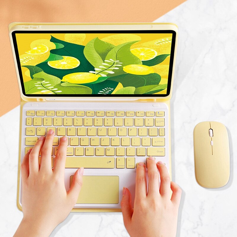 Detachable Press Bluetooth Keyboard Case and Mouse Set for iPad Pro10.5/Air3 /iPad 10.2 ) Tablet