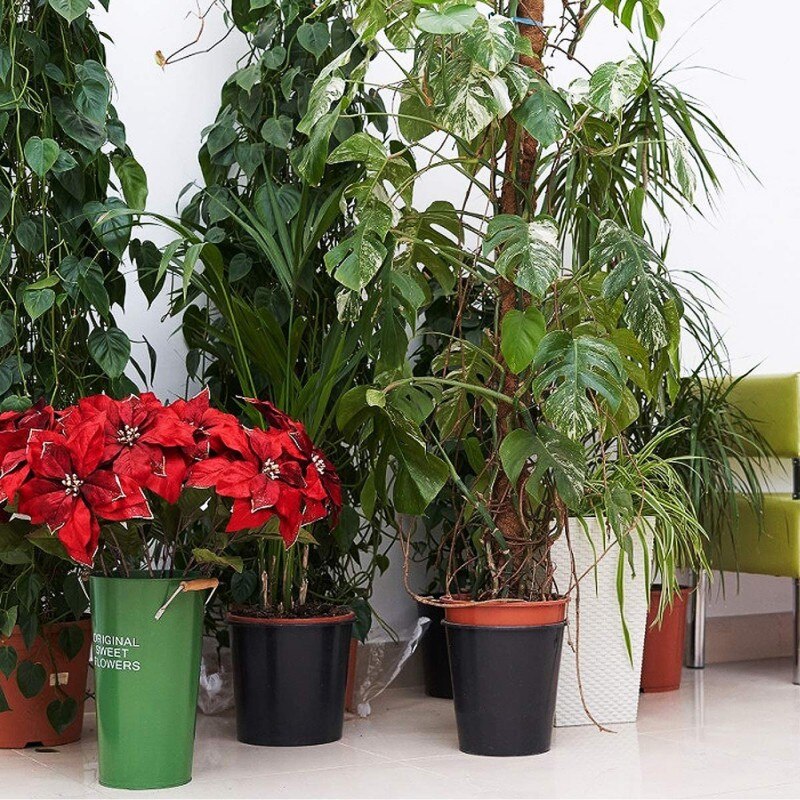 1/2/4 stk kokos mos totempæl kokos mos pind til slyngplanter plantestøtte forlængelse klatre indendørs haveplanter 30/40/45/60cm