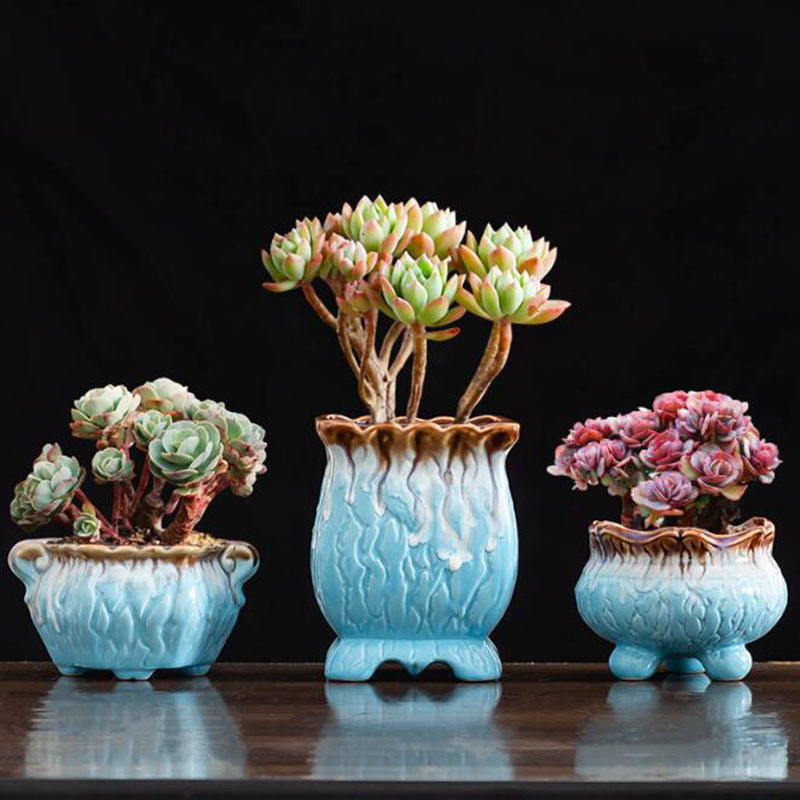 Kreative blau glasierte saftige Blumentopf große Durchmesser atmungsaktive Blumentopf Vase mit einem See Garten Garten Wohnkultur