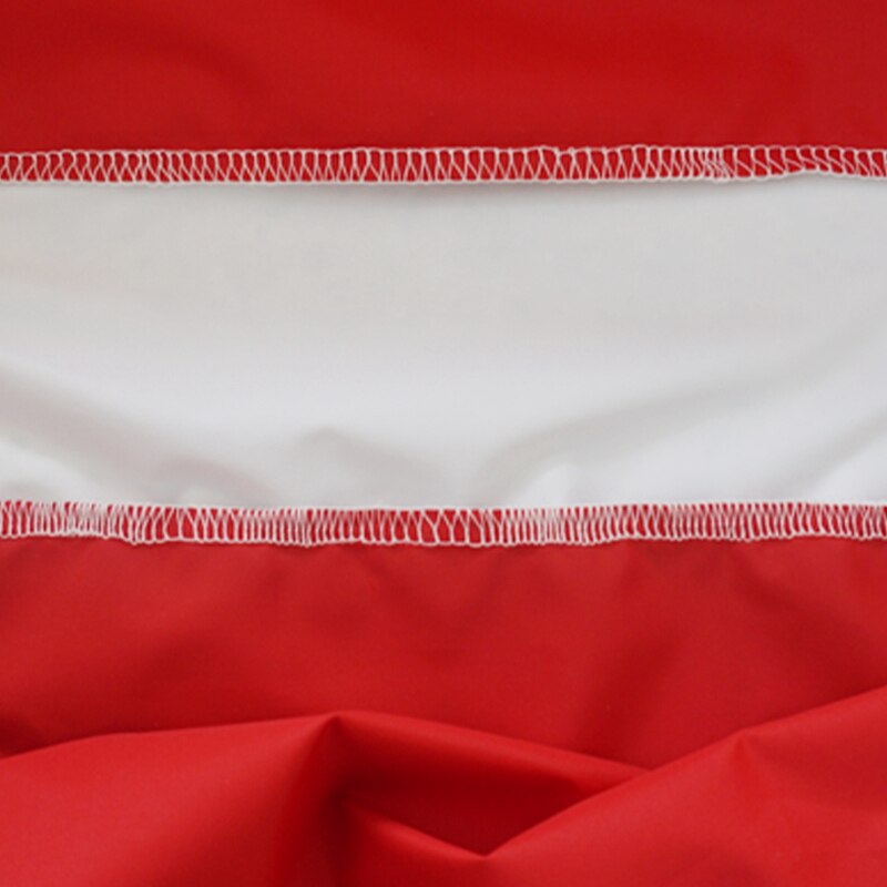 TOP Wind Sock Weather Vane Windsock Outdoor Toy Kite,Wind Monitoring Needs Wind Indicator