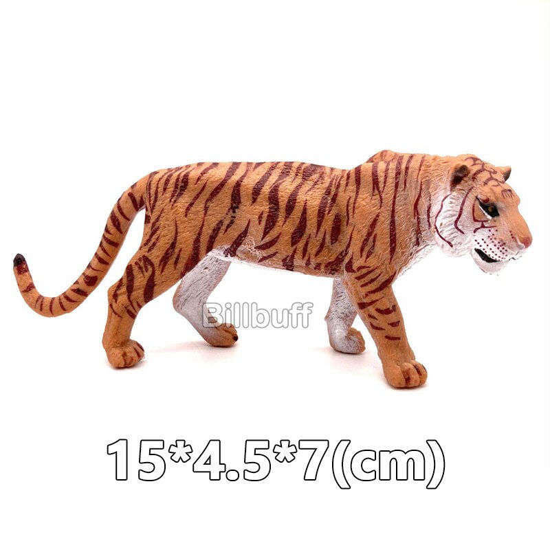 Simulation Wilden Ebene Weiß Tiger Tigerin Männlichen Tiger Modell Aktion-figuren Figuren Sammlung FrüHenne Bildung Spielzeug für freundlicher: Tiger Zahlen h0