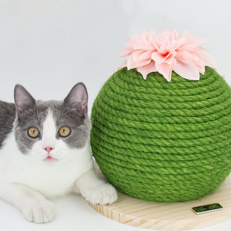Kat kradsebræt pricky pear kattelegetøj til killing kaktus kat produkt kradsepude sisal kat kradse spil dekoration