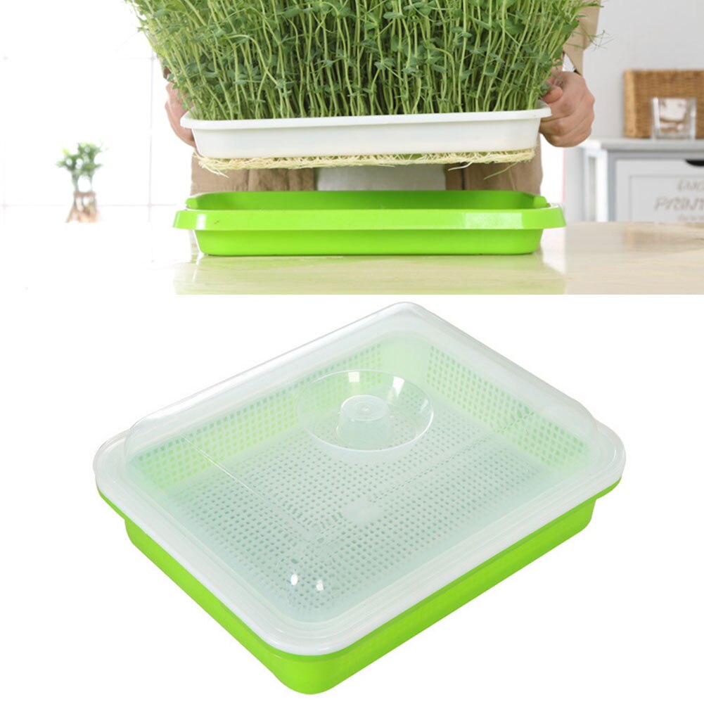 1PC Seed Sprouter Tray Bean Sprout Grower Germination Kit Soil-Free Seed Tray Dirt Free Way Big Capacity Bean Sprout Grower