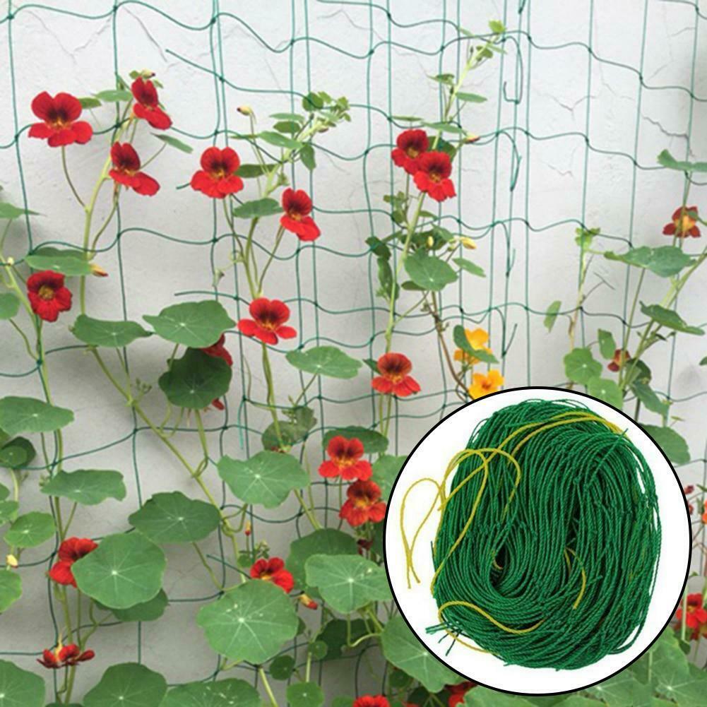 Diy Vertical red para jardín pepino enrejado de malla de frutas de vid neto guisantes para los jardineros cama decoración flor escalada planta