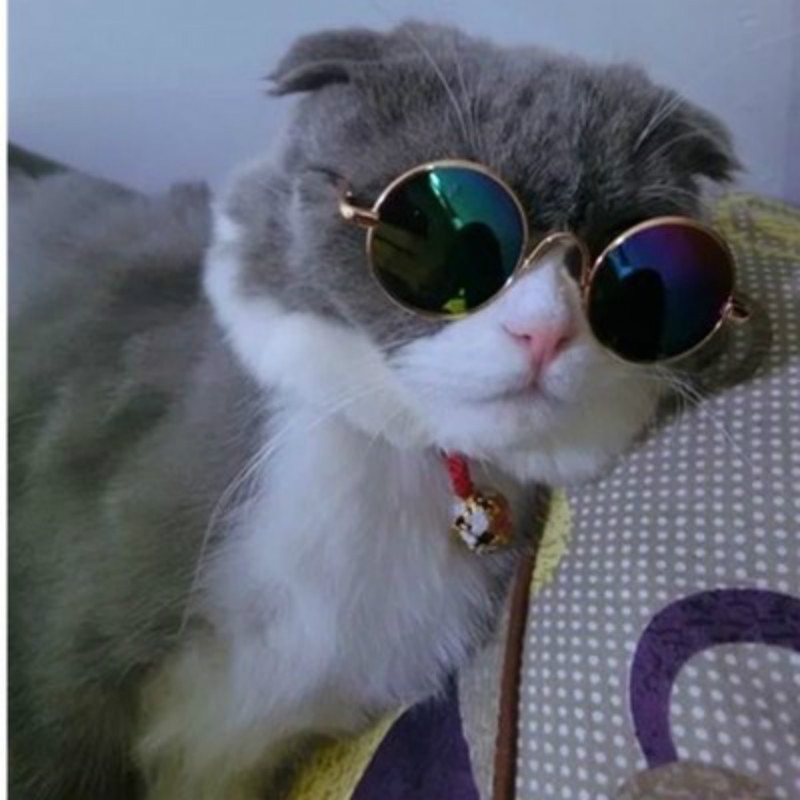 SUEF 1pcs di vendita Caldo del cane e del gatto occhiali occhiali da sole per bambini fotografia puntelli carino fresco accessori per animali domestici @ 02