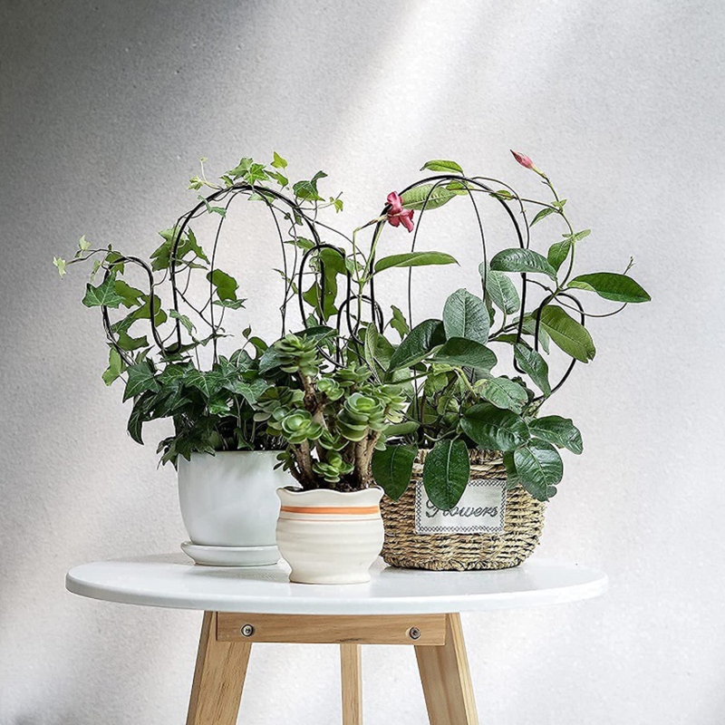 Cactus Shape Garden Metal Climbing Support Stake Stand Frame for Flowers Plants Vegetables Tomato Vine Rack Indoor Outdoor