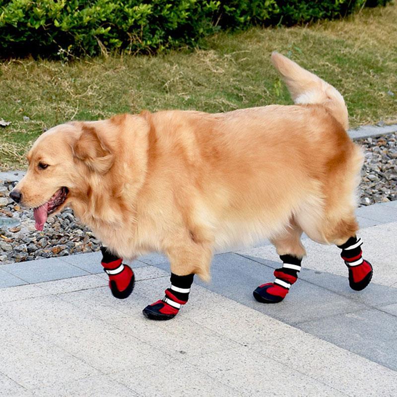 Hond Schoenen Hoge Taille Golden Retriever Samos Husky Waterdichte Antislip Winter Hond Voeten Grote Hond Katoen Laarzen Huisdier schoenen 4/Pcs