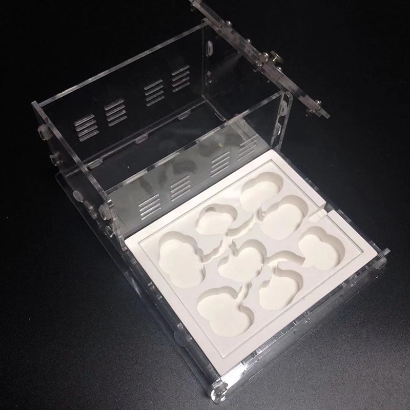 Transparent Ant Villa Flat Nest Ant Workshop Acrylic Ant Small Community Feeding Box