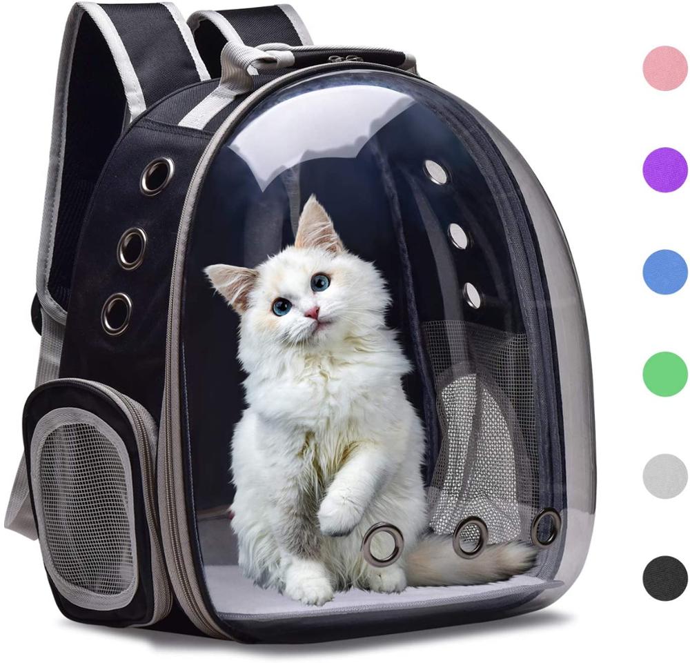Katteholder taske kattebur transport rygsæk taske rejse kæledyr bærbar åndbar hund rygsæk gennemsigtig taske bærer til kæledyr kæledyr: Sort