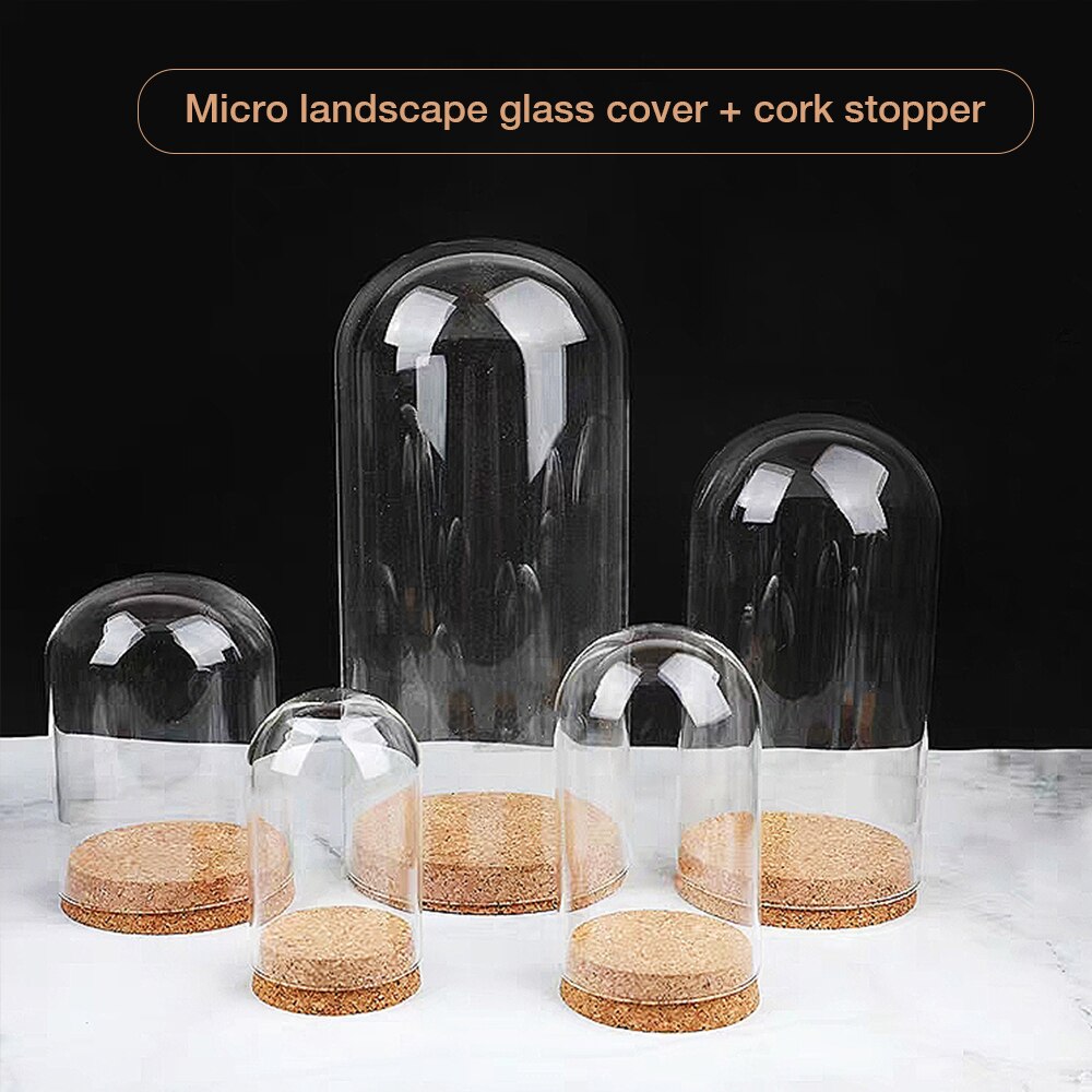 Cloche de cúpula de cristal con Base de madera, tarro, soporte de exhibición de flores secas, adornos, cubierta de polvo, caja de exhibición, Rosa inmortal