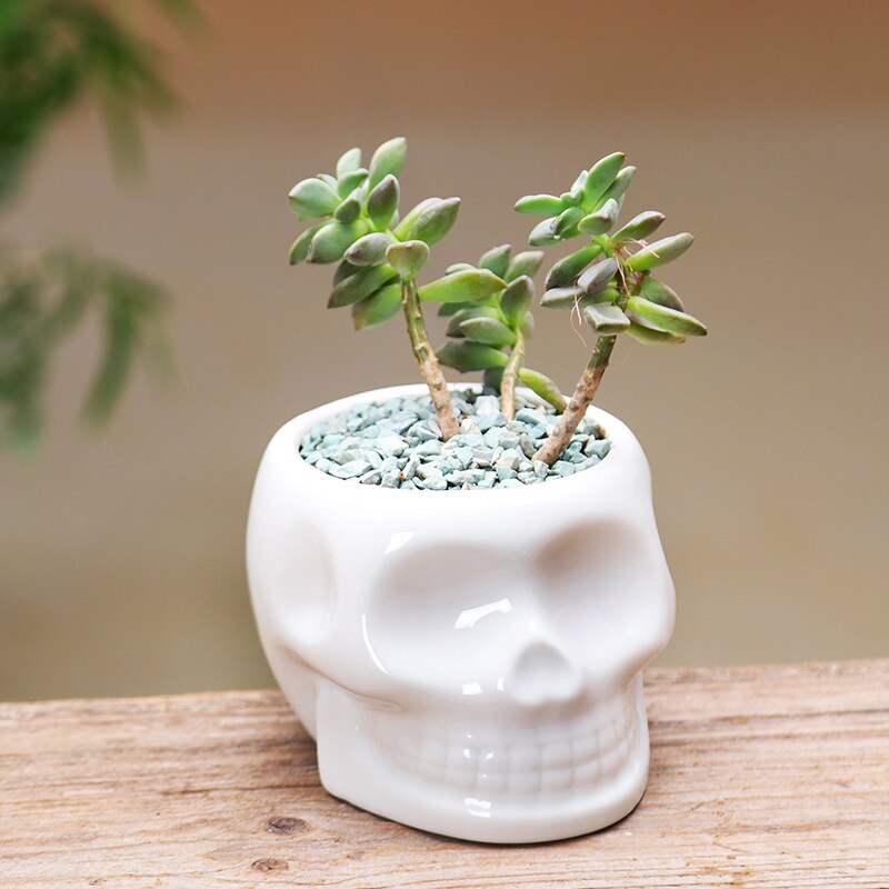 Black White Skull Ceramic Flower Pots Succulent Flower Planter Eco-friendly Flower Pot Home Garden Pot