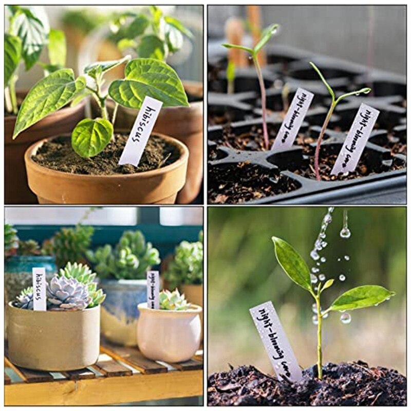 Etichette per piante da giardino in plastica etichette per piante da appartamento impermeabili per semi marcatori per interni in vaso per stoccaggio di erbe tutto'aperto