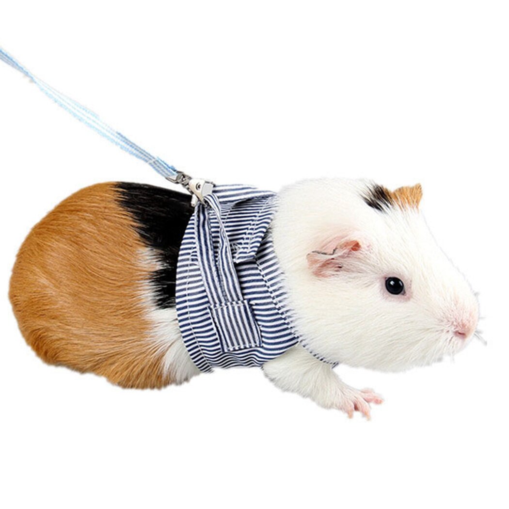 Hamster Leine nutzbar machen Kleine Ebene nutzbar machen Für Guinea Schweine Eichhörnchen Einstellbare gestreift Baumwolle Haustier Kleidung Hamster Zubehör