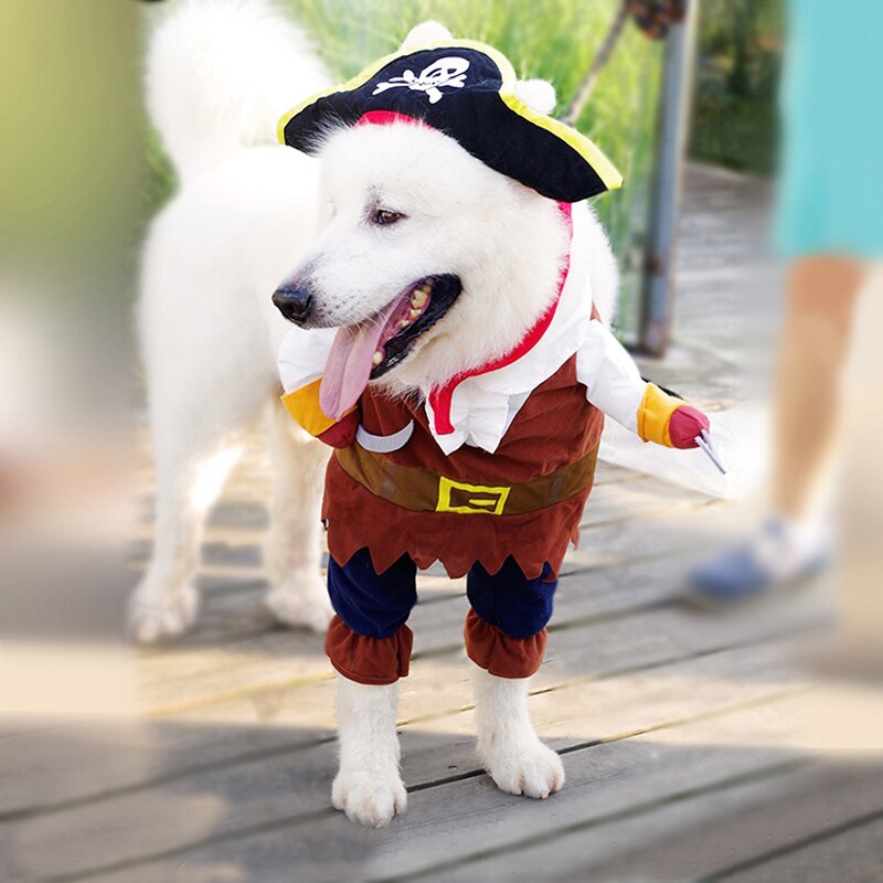 Roliga kläder för sällskapsdjur hund kostym karibisk pirat kostym corsair klä ut festkläder kläder för hundar plus hatt